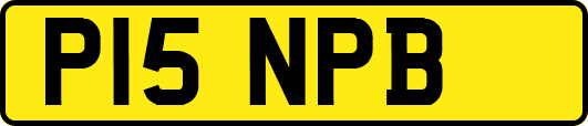 P15NPB