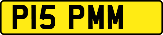 P15PMM