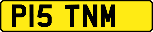 P15TNM