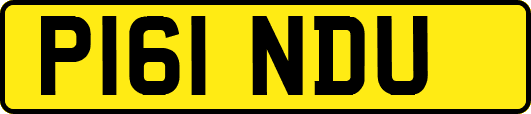 P161NDU