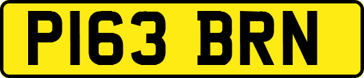 P163BRN