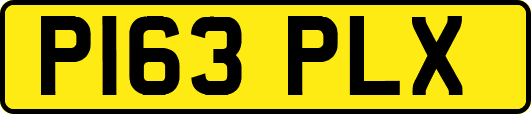 P163PLX