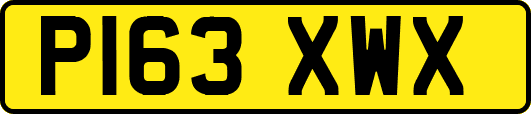 P163XWX
