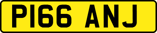 P166ANJ