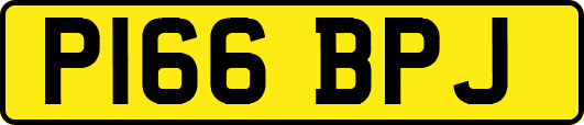 P166BPJ
