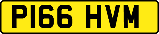 P166HVM