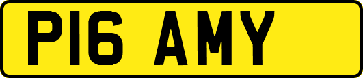P16AMY