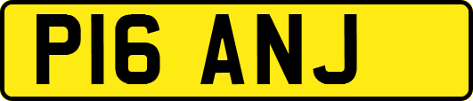 P16ANJ