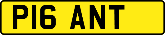 P16ANT