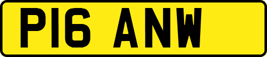 P16ANW