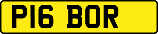 P16BOR