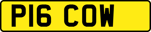 P16COW