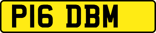 P16DBM
