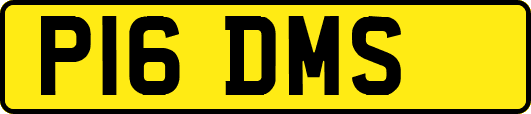 P16DMS