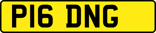 P16DNG