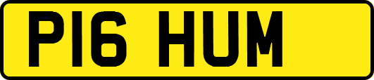 P16HUM