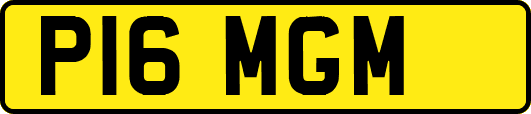 P16MGM