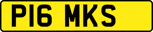 P16MKS
