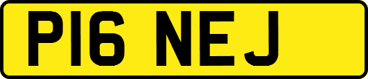 P16NEJ