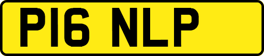 P16NLP