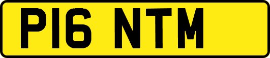 P16NTM
