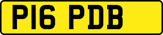 P16PDB