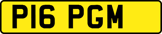 P16PGM