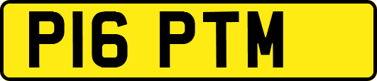 P16PTM