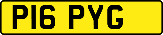 P16PYG