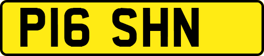 P16SHN