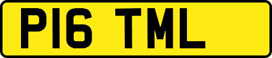 P16TML