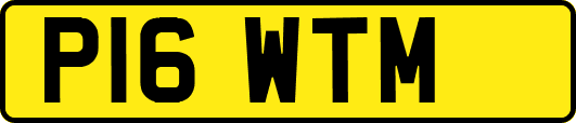 P16WTM