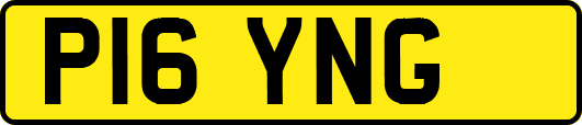 P16YNG