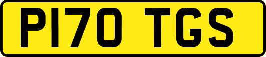P170TGS