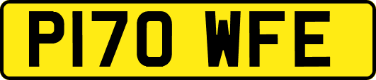 P170WFE