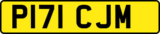 P171CJM