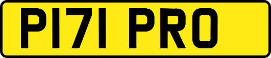 P171PRO