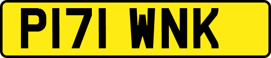 P171WNK