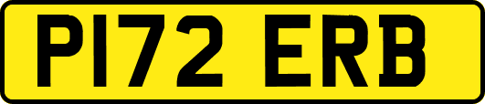 P172ERB