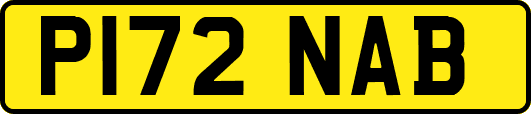 P172NAB