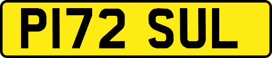 P172SUL