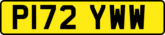 P172YWW