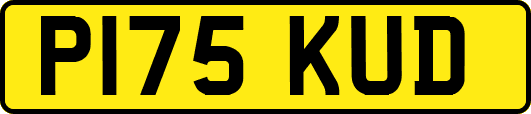 P175KUD
