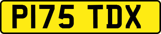 P175TDX