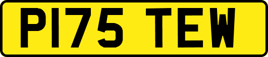 P175TEW