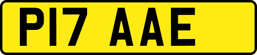 P17AAE