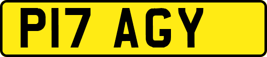 P17AGY