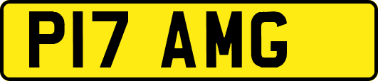 P17AMG