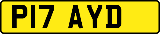 P17AYD