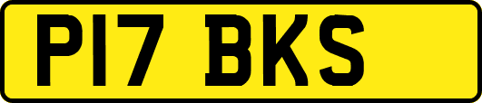 P17BKS